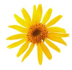 arnica in Levicose for varicose veins