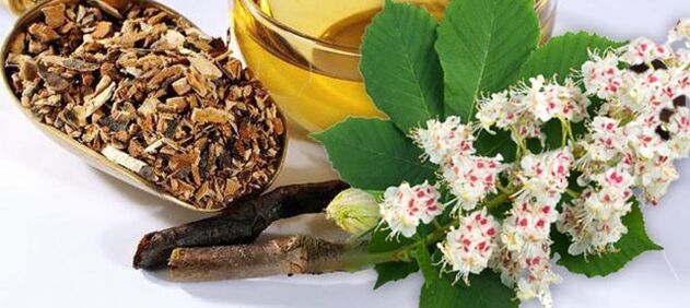 Horse chestnut flower tincture