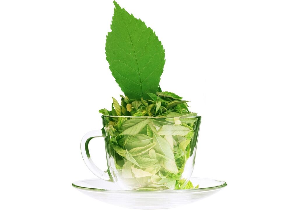 Green tea treats varicose veins